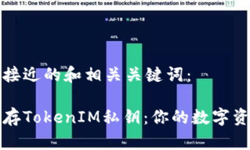 以下是一个接近的和相关关键词：

如何安全保存TokenIM私钥：你的数字资产保护指南