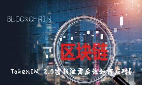 TokenIM 2.0密钥泄露后该如何应对？