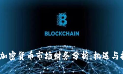 2023年加密货币市场财务分析：机遇与挑战并存