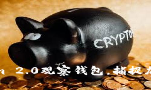 如何通过Tokenim 2.0观察钱包，捕捉加密资产最新动向