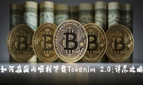 如何在国内顺利下载Tokenim 2.0：详尽攻略
