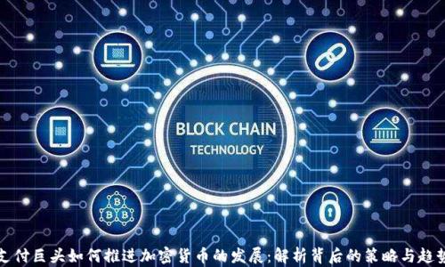 
支付巨头如何推进加密货币的发展：解析背后的策略与趋势