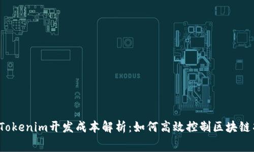 2023年Tokenim开发成本解析：如何高效控制区块链项目费用