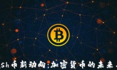 2023年Dash币新动向：加密货币的未来与投资机遇