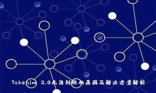 Tokenim 2.0无法到账的原因及解决方案解析