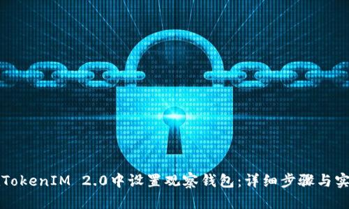 如何在TokenIM 2.0中设置观察钱包：详细步骤与实用指南