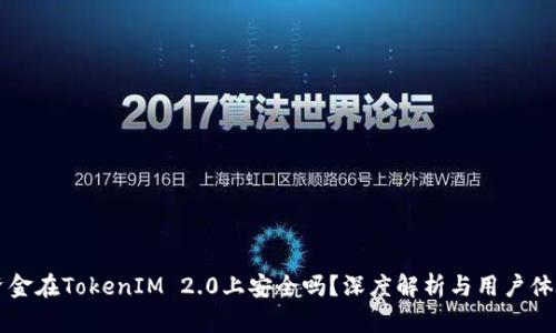 大额资金在TokenIM 2.0上安全吗？深度解析与用户体验分享