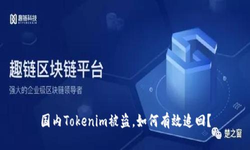 国内Tokenim被盗，如何有效追回？
