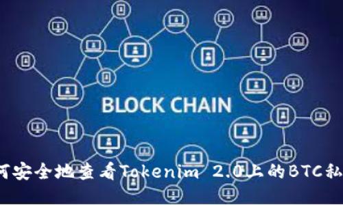 如何安全地查看Tokenim 2.0上的BTC私钥？