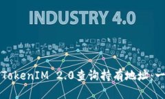 如何使用TokenIM 2.0查询持有地址：一站式指导