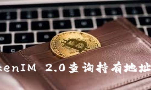 如何使用TokenIM 2.0查询持有地址：一站式指导