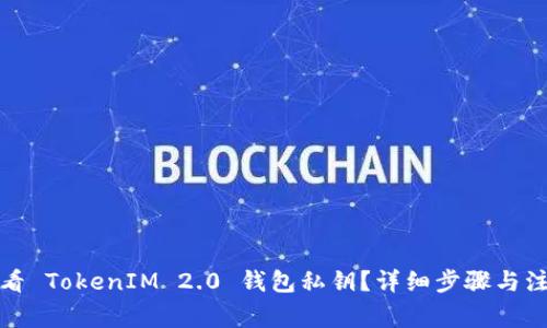 如何查看 TokenIM 2.0 钱包私钥？详细步骤与注意事项