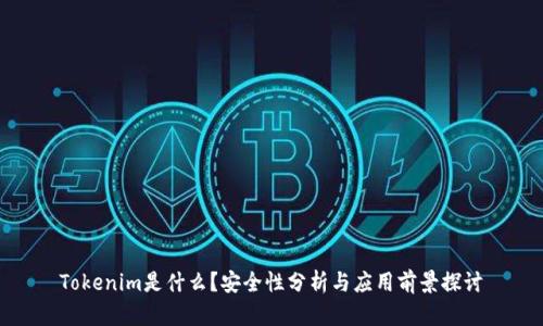 Tokenim是什么？安全性分析与应用前景探讨