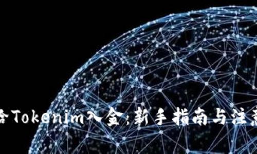 如何给Tokenim入金：新手指南与注意事项
