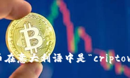 加密货币在意大利语中是“criptovaluta”。