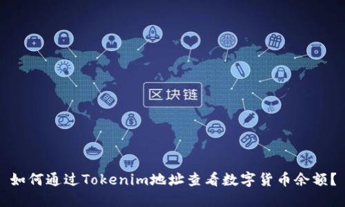 如何通过Tokenim地址查看数字货币余额？