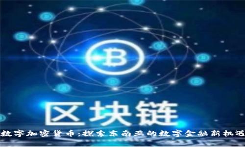 柬埔寨数字加密货币：探索东南亚的数字金融新机遇与挑战