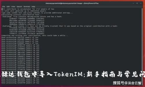如何在镭达钱包中导入TokenIM：新手指南与常见问题解决