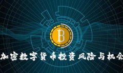 中国加密数字货币投资风险与机会分析