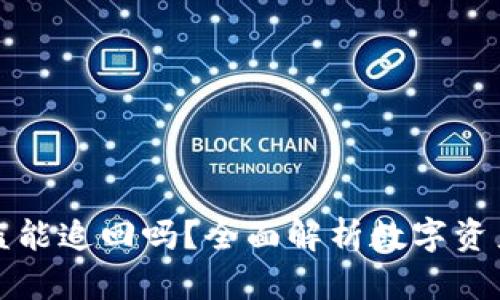 ## Tokenim被盗能追回吗？全面解析数字资产安全与追回策略