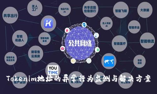 Tokenim地址的异常行为监测与解决方案