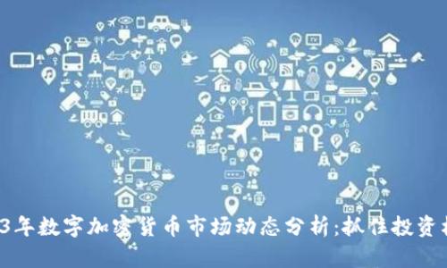 2023年数字加密货币市场动态分析：抓住投资机会！