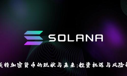 科威特加密货币的现状与未来：投资机遇与风险解析