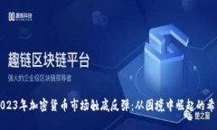 2023年加密货币市场触底反弹：从困境中崛起的希