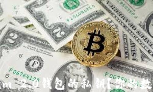 
如何找回Tokenim 2.0钱包的私钥？你的数字资产如何保值