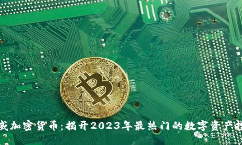 越南盛威加密货币：揭开2023年最热门的数字资产投资秘笈