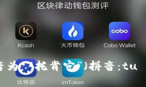 “Tokenim”的发音为 “托肯宁”（拼音：tuō kěn níng）。
