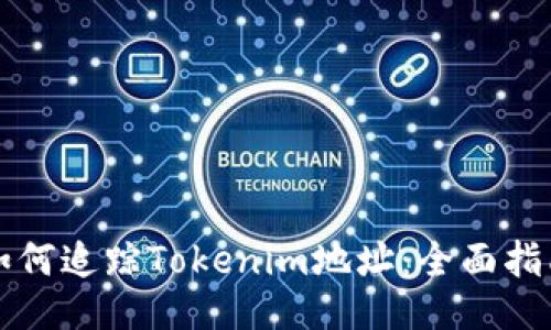 如何追踪Tokenim地址：全面指南