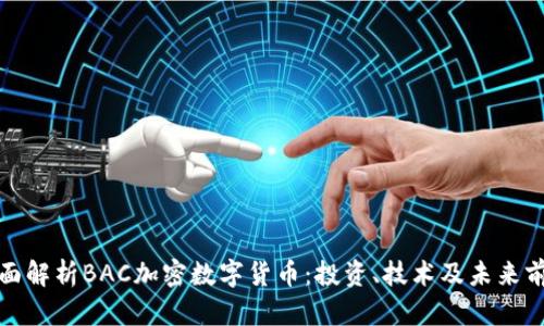全面解析BAC加密数字货币：投资、技术及未来前景