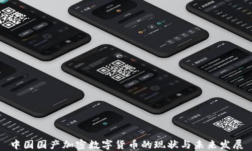 
中国国产加密数字货币的现状与未来发展