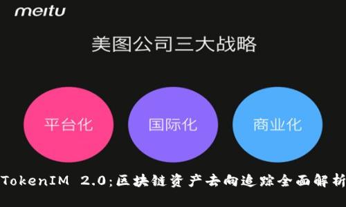 TokenIM 2.0：区块链资产去向追踪全面解析