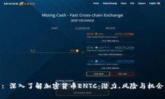 : 深入了解加密货币ENTC：潜力、风险与机会