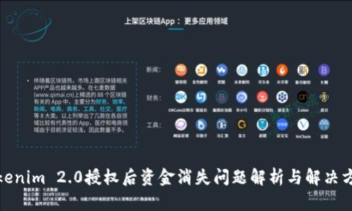 Tokenim 2.0授权后资金消失问题解析与解决方案
