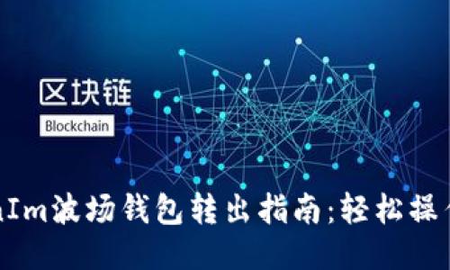 Title: TokenIm波场钱包转出指南：轻松操作与安全提示