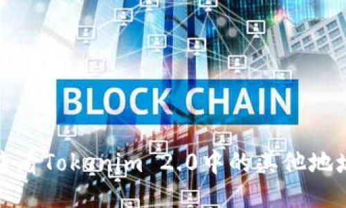 如何查看Tokenim 2.0中的其他地址信息