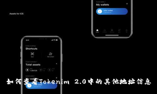 如何查看Tokenim 2.0中的其他地址信息