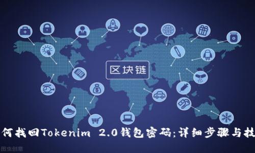 如何找回Tokenim 2.0钱包密码：详细步骤与技巧