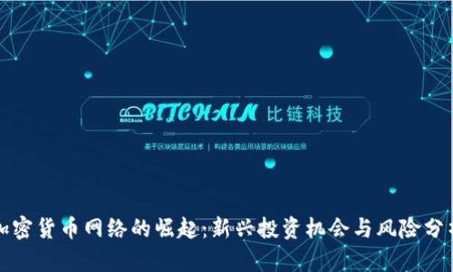 加密货币网络的崛起：新兴投资机会与风险分析