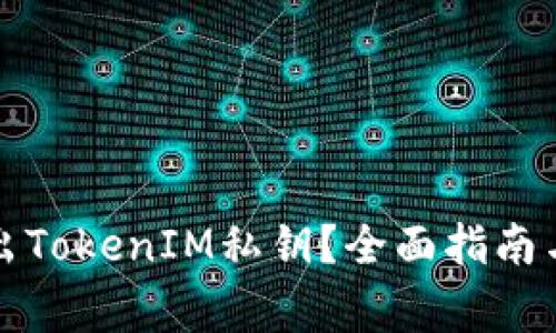 如何安全地导出TokenIM私钥？全面指南与常见问题解析