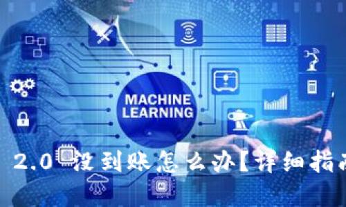 提币到 Tokenim 2.0 没到账怎么办？详细指南与问题解决方案