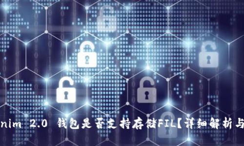 Tokenim 2.0 钱包是否支持存储FIL？详细解析与指南