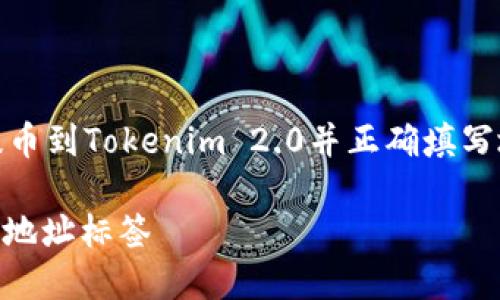 为了帮助您更好地理解如何将EOS提币到Tokenim 2.0并正确填写地址标签，以下是我为您准备的内容。

EOS提币到Tokenim 2.0时如何填写地址标签