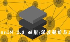 TokenIM 2.0 映射：深度解析与应用