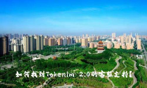 如何找到Tokenim 2.0的客服支持？