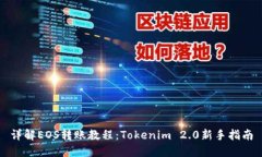 详解EOS转账教程：Tokenim 2.0新手指南
