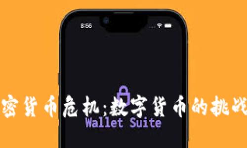 美元加密货币危机：数字货币的挑战与机遇